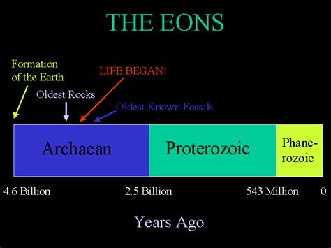 Subsequent eons from the Proterozoic Eon had multicellular organisms. This eon spanned 2.5 billion years ago to 541 million years ago. The life forms continued to evolve and get advanced as the earth aged. There were periods within this eon where the earth’s temperature dropped significantly below zero.. 