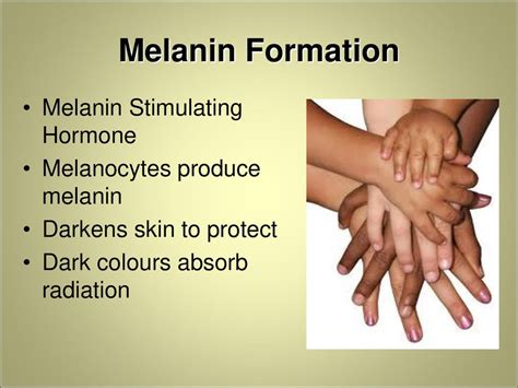 How melanin is produced in body