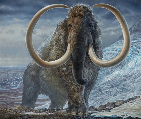 When it comes to a woolly mammoth vs mastodon, woolly ma
