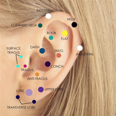 How much do ear piercings cost. EAR LOBE PIERCING PAIN SCALE: 1/10. Ear lobe piercings typically rank very low on the pain scale, usually around 1 out of 10 for most people. The earlobes have fewer nerve endings, making them one of the least painful piercings. Many describe the sensation as a quick pinch or slight discomfort that lasts just a moment. 