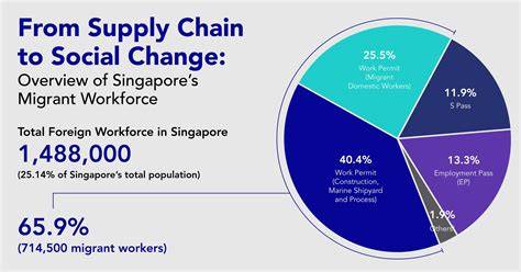 How much do migrant workers earn in singapore.  They encompass professiona...