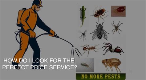 How much do pest control charge. Expect professionals to charge more when accessing difficult-to-reach spots around your property. Related Article. ... Pest control specialists often offer discounts to eliminate multiple creepy crawlies as part of the same job. Other common pest control costs include: Flea extermination costs: $150–$400. Ant extermination costs: $100–$500. 