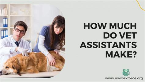 How much do vet assistants make. How much does a Veterinary Assistant make in Portland, OR? Average base salary Data source tooltip for average base salary. $21.53. same. as national average. Average $21.53. Low $17.60. High $26.34. Non-cash benefit. 401(k) View more benefits. The average salary for a veterinary assistant is $21.53 per hour in Portland, OR. ... 
