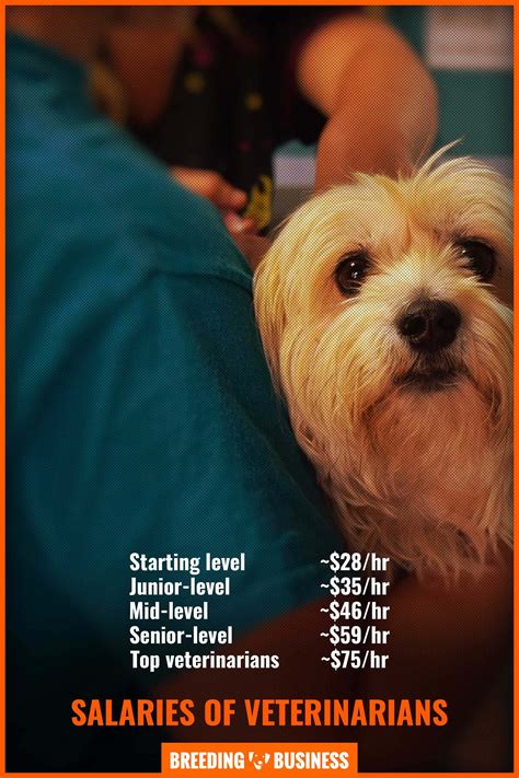 How much do veterinarians make. Oct 29, 2023 · The estimated total pay for a Veterinarian is $168,067 per year in the Wisconsin area, with an average salary of $124,728 per year. These numbers represent the median, which is the midpoint of the ranges from our proprietary Total Pay Estimate model and based on salaries collected from our users. The estimated additional pay is $43,339 per year. 