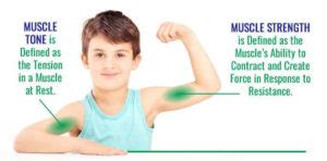 How much do we know about muscle tone - Playstreet