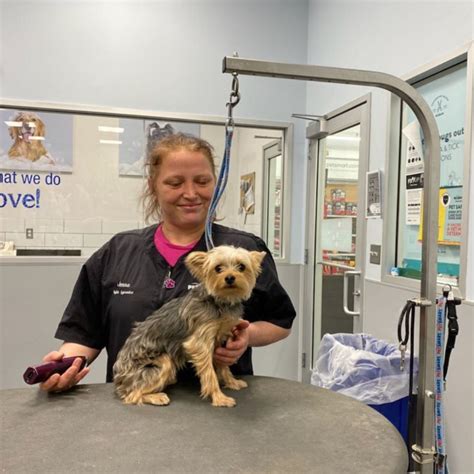 PetSmart Groomer Salary in the United States . How much does a Groomer make at companies like PetSmart in the United States? The average salary for Groomer at companies like PetSmart in the United States is $38,121 as of April 24, 2024, but the range typically falls between $31,137 and $47,574.Salary ranges can vary widely depending on many important factors, including education ...
