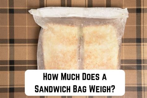How much does a sandwich bag weigh. Things To Know About How much does a sandwich bag weigh. 