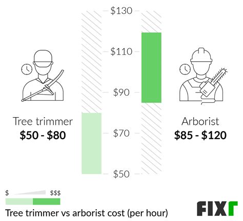 How much does a tree trimmer make an hour.  The average hourly rate for trimmers is $15. ...
