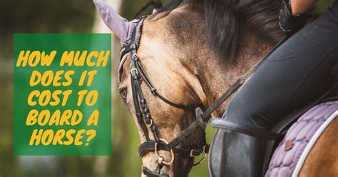 How much does it cost to board a horse. Mar 14, 2023 · So, how much does it cost to board a horse? The typical monthly cost for horse boarding is $350 to $400. This figure can vary depending on where you reside, the facilities you want, and the sort of board you choose. Here are some of the most common boarding choices for your horse: Full Care Board ($300 – $900/month) Pasture Board ($150 ... 