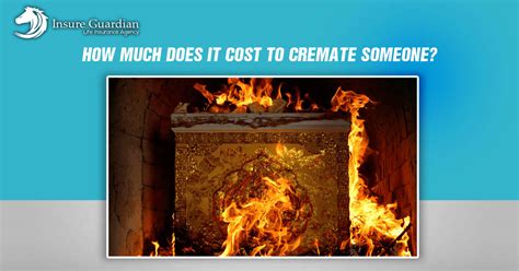How much does it cost to cremate a turtle.  How much does it really cost to cremate ...