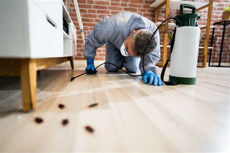 How much does pest control cost. The average pest control cost is $450, but it can vary depending on the type of pest, the severity of the infestation, the size of your home and the … 