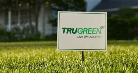 How much does trugreen cost. Things To Know About How much does trugreen cost. 