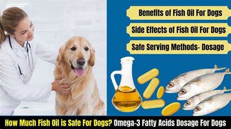 How much fish oil for dogs? Updated April 2024 Wikidoggia