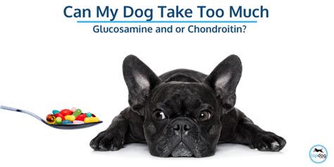 How much glucosamine is toxic to dogs? [Answered!]