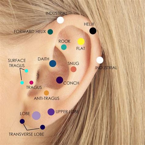 How much is a ear piercing. 