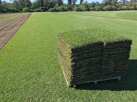 How much is a pallet of sod. The average square footage of a pallet of turf grass sod is 450 square feet. Most pallets range between 400 and 700 square feet. This can vary quite a bit depending on the vendor … 