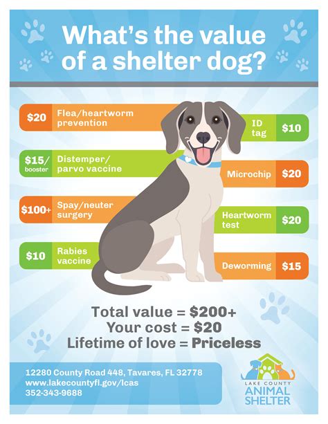 How much is adoption. Where is the best place to adopt a pet? Money and Yelp highlight the best shelters across America. By clicking 