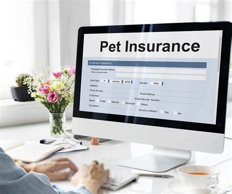 How much is banfield pet insurance. Things To Know About How much is banfield pet insurance. 