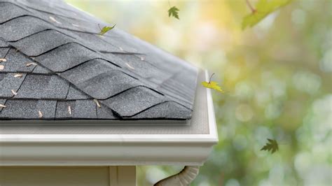 How much is leaf filter. Expect to pay anywhere from $10 to $30 per foot of gutter, depending on the type of leaf filter you choose. That said, leaf filters can save you money in the long run by preventing costly gutter repairs and water damage to your home. 