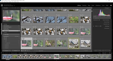 How much is lightroom. At the bare minimum, Lightroom requires 4 GB of RAM to run, but of course, this may not be enough in practical terms when it comes to day-to-day needs. Many operations in the program are rather ... 