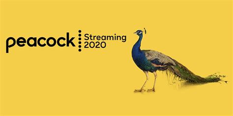 How much is peacock streaming. Firstly, Peacock TV is a content streaming service like Netflix, Hulu, and Disney Plus that launched in July 2020. Like those platforms, it features a large catalog of on-demand films and series you can view with your account. However, unlike many other services, the Peacock streaming service comes with a cheap, ad-supported tier. 