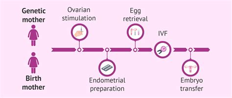 How much is reciprocal IVF - Future Family Blog