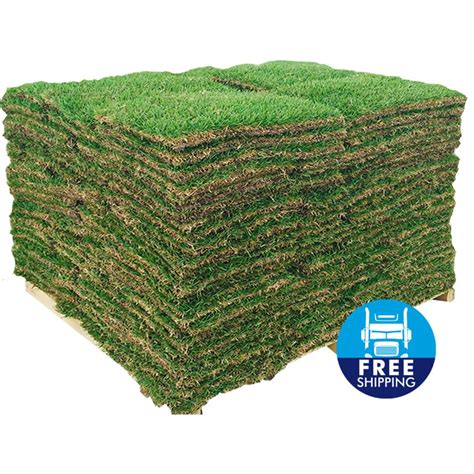 Augustine Zoysia and Bermuda sod costs 030 to 080 per square foot or between 1 and 2 per square foot when including soil preparation delivery and installation fees. The average square footage of a pallet of turf grass sod is 450 square feet.