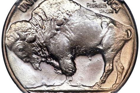 The Buffalo or Indian Head Nickel coins 