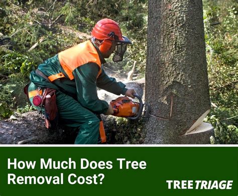 How much is tree removal. Feb 6, 2024 ... How Much Does it Cost to Trim Trees? ... Tree trimming services vary in cost, with the national average ranging from $200 to $760 per tree, ... 