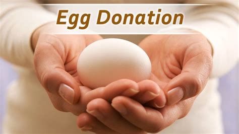 How much money do you get for donating eggs. How much do egg donors get paid? Compensation can vary quite a bit, depending on where you donate your eggs. Usually, egg donors are usually paid between $5000 and $10,000 per cycle. At Bright Expectations, we offer our egg donors a compensation package that is a bit higher than the average, which includes: A payment … 