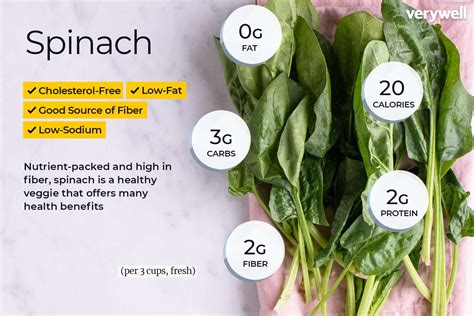 How much protein is in a cup of spinach? - KnowledgeBurrow