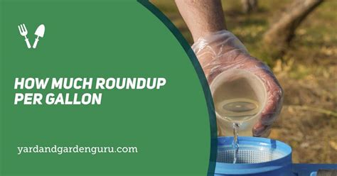 How much roundup per gallon of water. The proper ratio for mixing Roundup Concentrate is 3 ounces of product to 1 gallon of water. A 32-ounce bottle of Roundup Super Concetrate can make up to 23 gallons of spray. The r... 