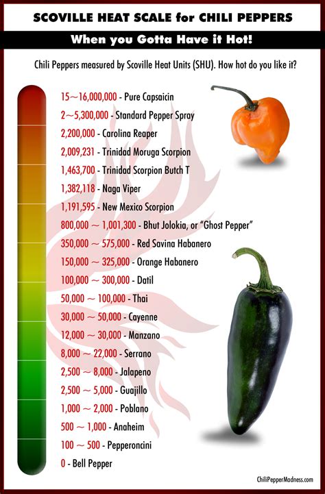 Scoville heat units: The Carolina Reaper's rating on the Scoville scale ranges from 1,400,000 - 2,200,000 SHU. PepperScale profile page: ... You can pick your Carolina Reapers while they are green, but you will get more heat and flavor from them if you wait for them to ripen. Reapers will turn bright red when they are ripe.