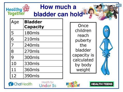 How much should a bladder hold