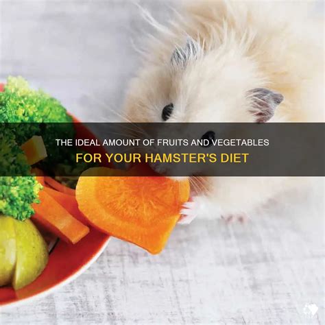 How much should a hamster eat