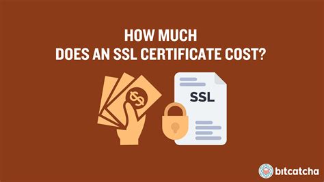 How much should an ssl certificate cost