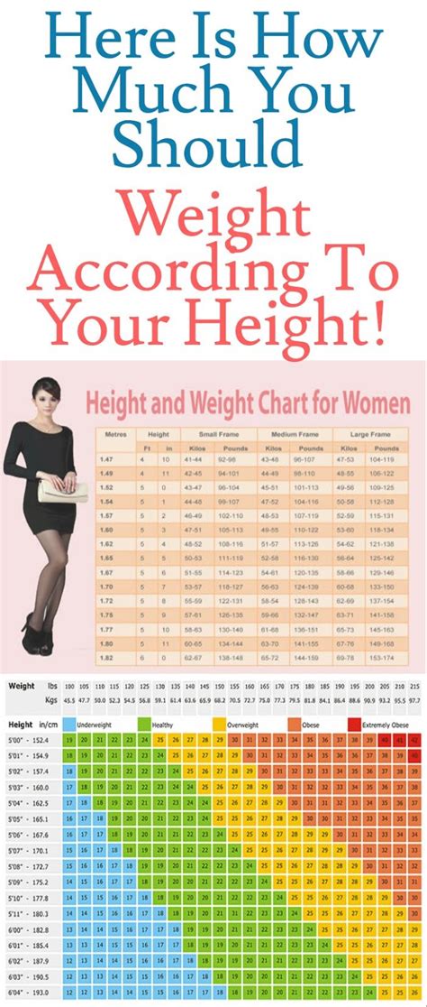 The average weight for a 5'1 female is between 160 lbs and 165 lbs, which works out to between 72.57 kg and 74.84 kg in kilograms. Naturally, due to being approximately 3 inches shorter than the average woman, a 5'1 female is also going to weigh a bit less than the 171-pound average as well. Of course, given the wide variety of body shapes .... 