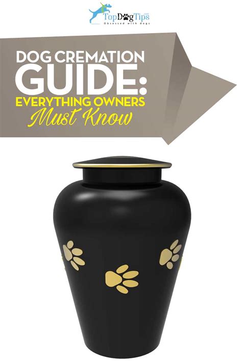 How much to cremate a dog. When planning a funeral, one of the key considerations is cost. Cremation funerals have become increasingly popular due to their affordability and flexibility. However, it’s import... 