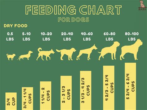 How much to feed a dog per day chart. Small breeds weighing 15 pounds – 1 cup a day. Small breeds weighing 20 pounds – 1 ⅔ cups a day. 