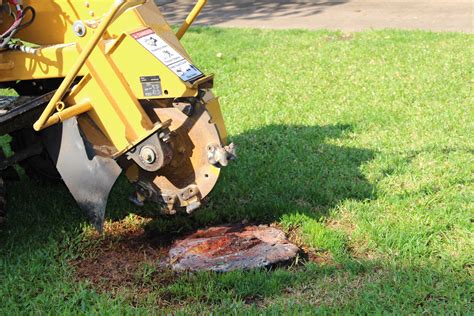 How much to grind a stump. Stump grinding is much less intensive. In this case, arborists use a machine to completely shred the stump down into small woodchips. Grinding is much more efficient than stump removal, however, it does … 