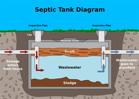 How much to pump a septic tank. Drain flies lay eggs in wet, organic matter, which is exactly what the septic tank has to offer. Midges lay their eggs in standing water, which can be the result of a clogged or full septic tank ... 