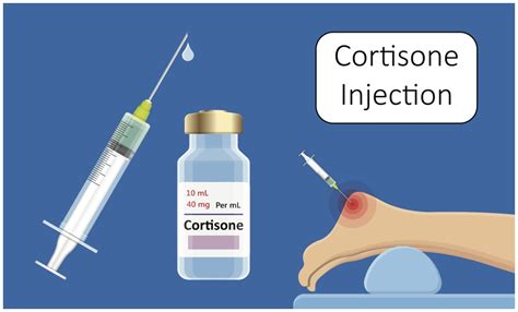 How often can dogs have cortisone shots? What to Know