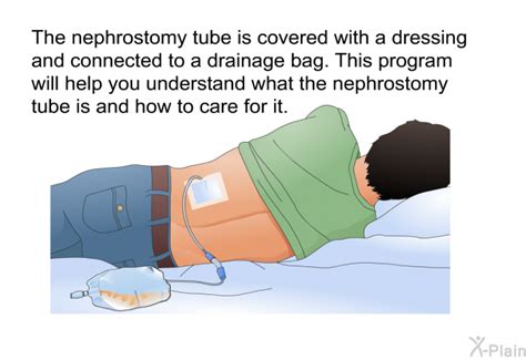 How often do you change a nephrostomy tube dressing?