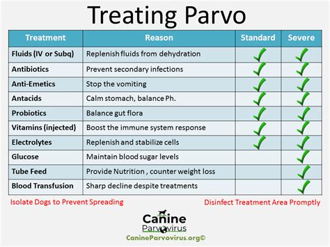 How often is parvo shot given