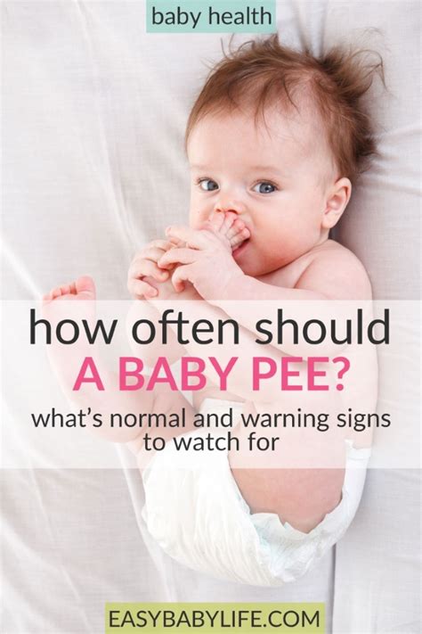 How often should a kid pee