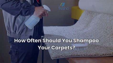 How often should carpets be shampooed