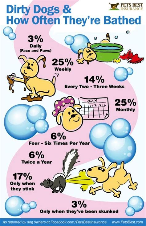 How often should dog take a bath