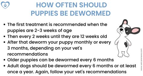 How often should dogs be wormed