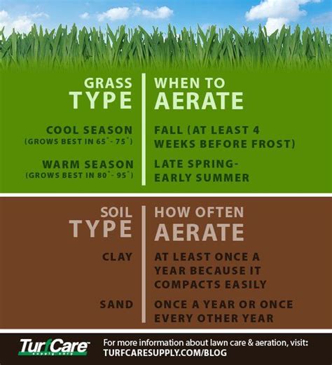 How often should i aerate my yard