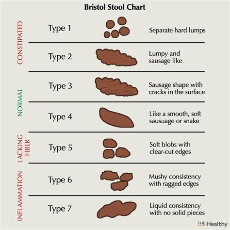 How often should i pass stool